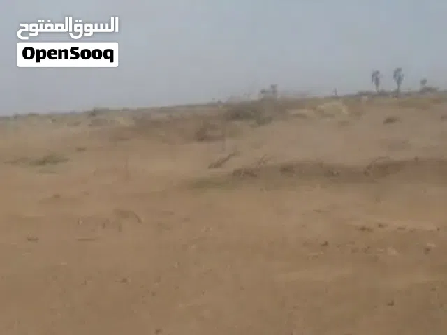 Farm Land for Sale in Al Hudaydah Other