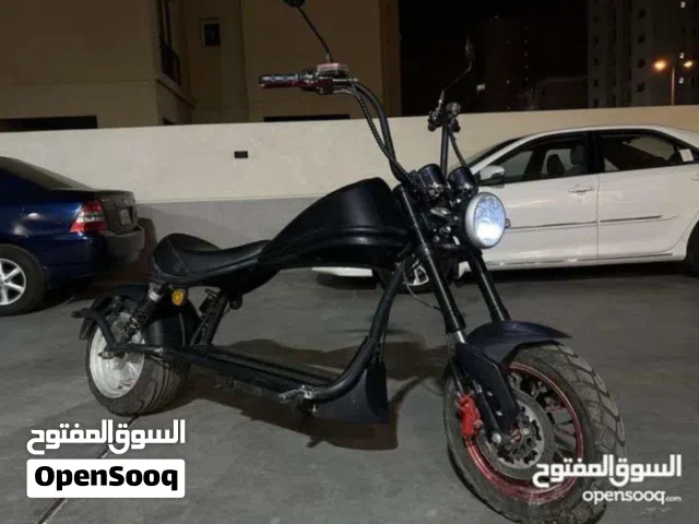 2025 Harley Davidson Other