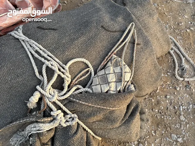 بيت شعر نظيف12*5