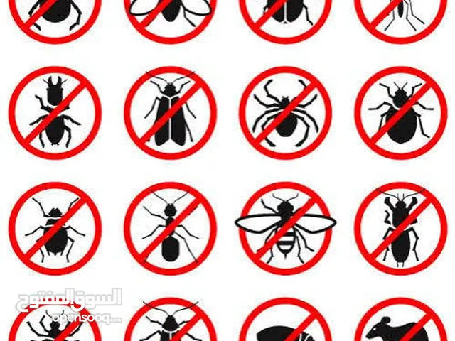 شركة مكافحة حشرات في الشارقة