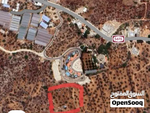 قطعة أرض مساحتها 1700 متر مربع طولكرم