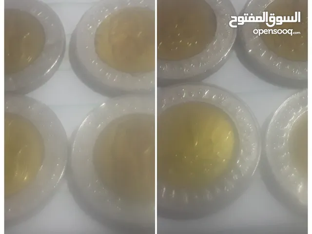 ايجيبت فور لاين