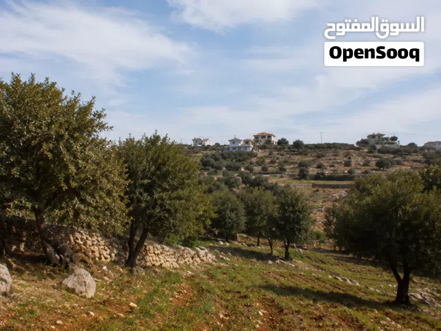 أرض سكنية مميزة للبيع في زي - السلط