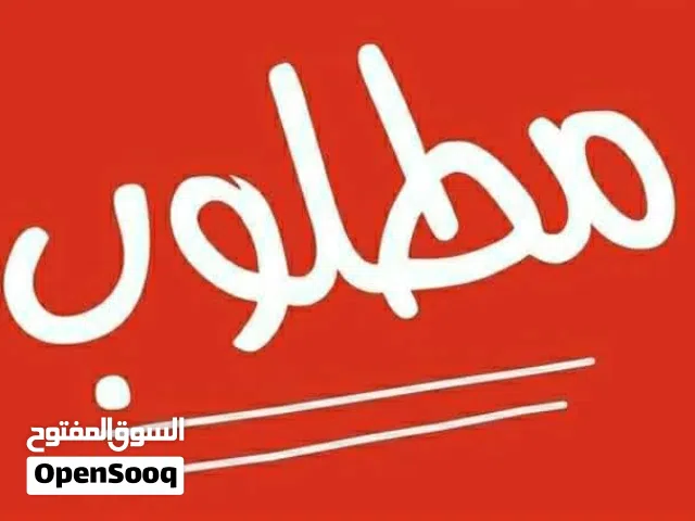 مطلووووب / شاشة ايفون 13 برو