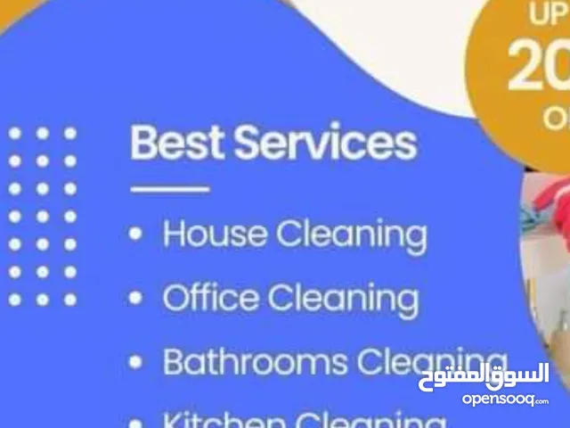 Professional VIP Cleaning Service