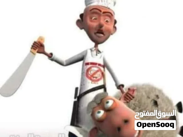 لحام جزار متفرغ دبح في المنازل في الزرقاء