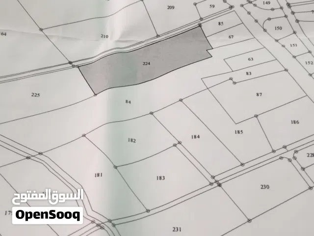 سيف ابو دلو