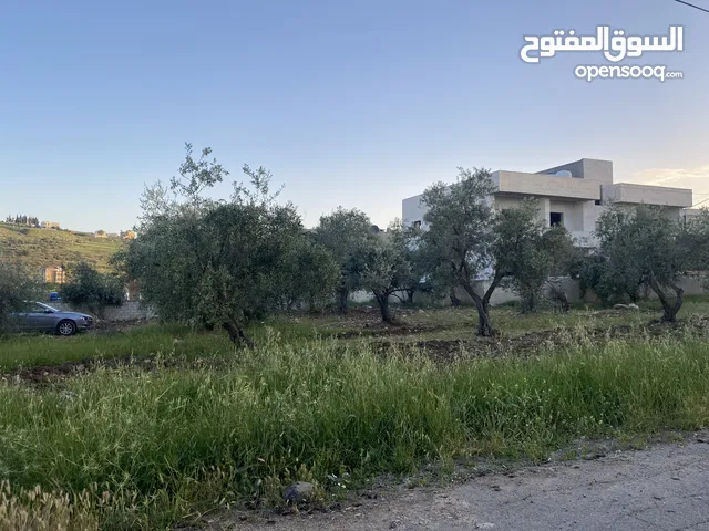 Residential Land for Sale in Amman Bahath