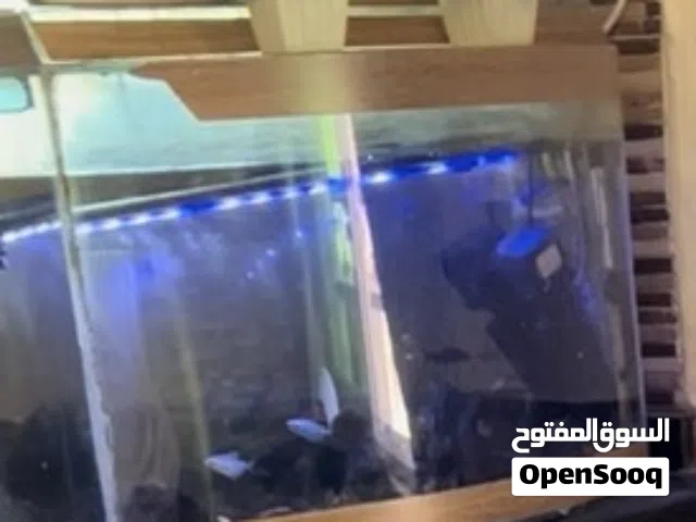 حوض سمك كبير جدا للبيع بسعر رمزي