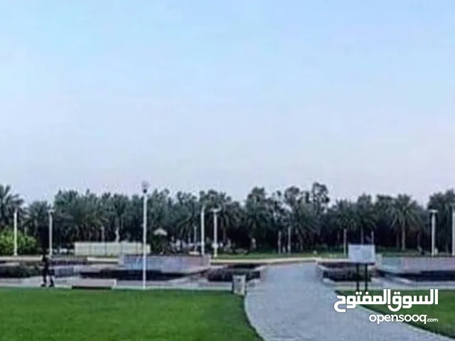 نجيله وحشيش طبيعي