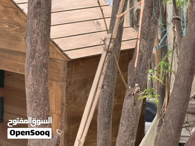 بيت خشبي للكلاب او القطط ( مفصل ) جاهز بمساحة ممتازة تصلح لجميع احجام الكلاب او القطط