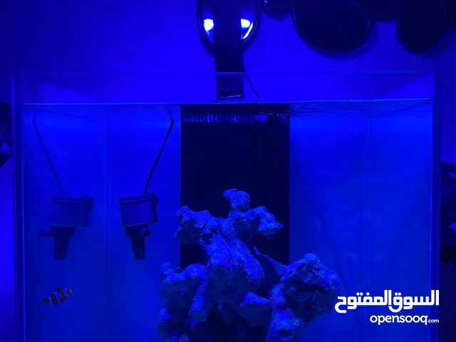 AI hydra 26hd coral reef light  ليت مرجان