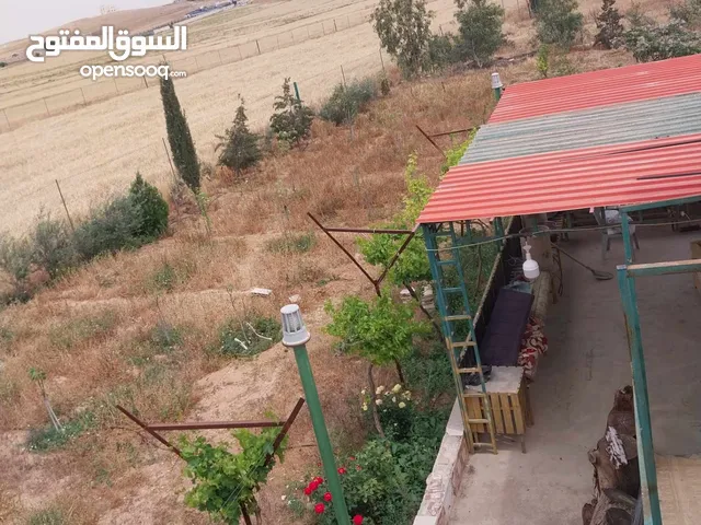 Farm Land for Sale in Zarqa Al Hashemieh
