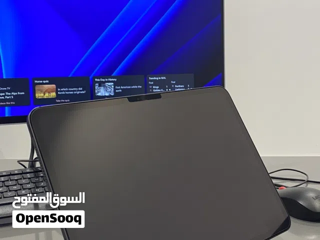 iPad Pro 11-inch M4, 2024