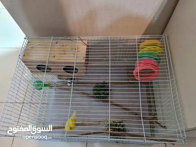 Cage with 2parrots and thier accessoriea