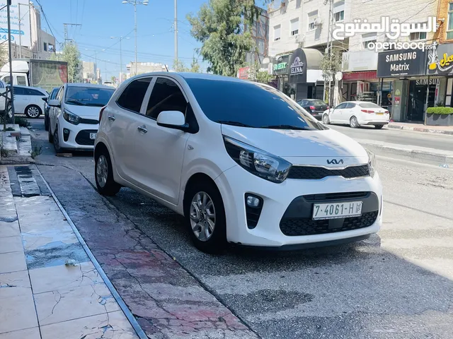كيا بيكانتو