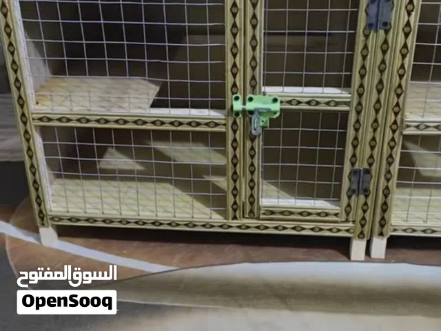 Kekrjrrjrjrjrjrjeieirhbrejejeuueehehehehheueeuheheebheeheheu7dueh3ehe7d7ehehrvu77yghuu7yyggyu7yhu7Kd