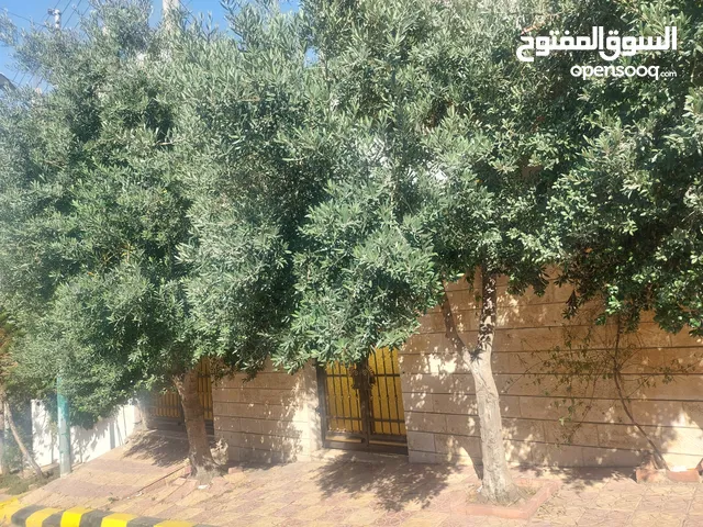 بيت مستقل طابقين أول طلوع عدن