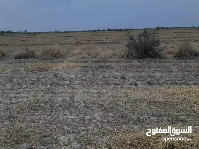 Farm Land for Sale in Dhi Qar Ur