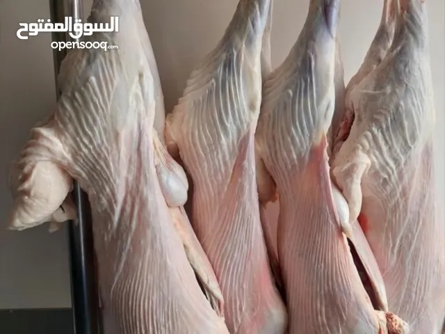 كل أنواع اللحوم والذبايح ( عربي نعيمي ، طلي ، جفالي ، استرالي ، عجل ) MBSq8