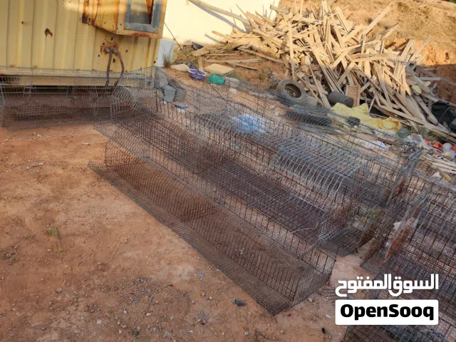 اقفاص متع ارانب