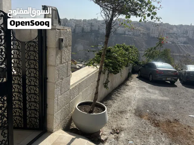 مجنونة تايلاندي مع قوار فايبر جلاس للبيع