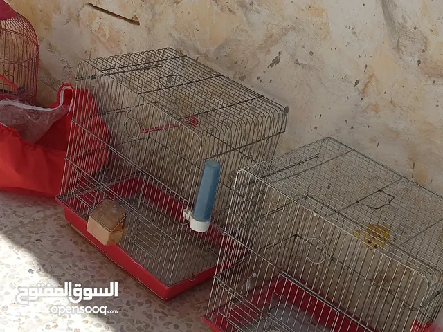 اقفاص عصافير عدد 4