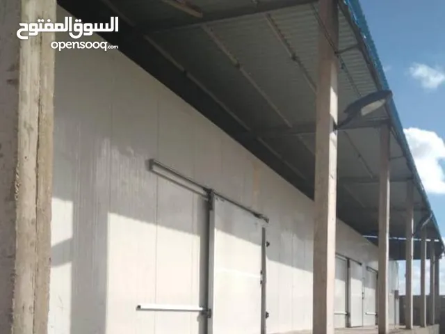للبيع 2340م2 به 19 ثلاجة تخزين بسعة من 28 إلي 30 حاوية الموقع شبنة الثروة