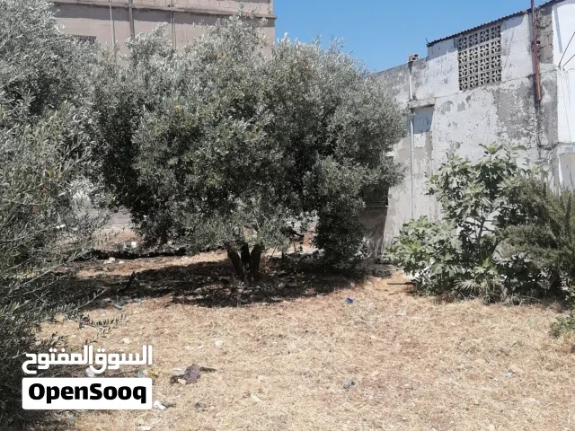 185 m2 4 Bedrooms Townhouse for Rent in Irbid Huwwarah