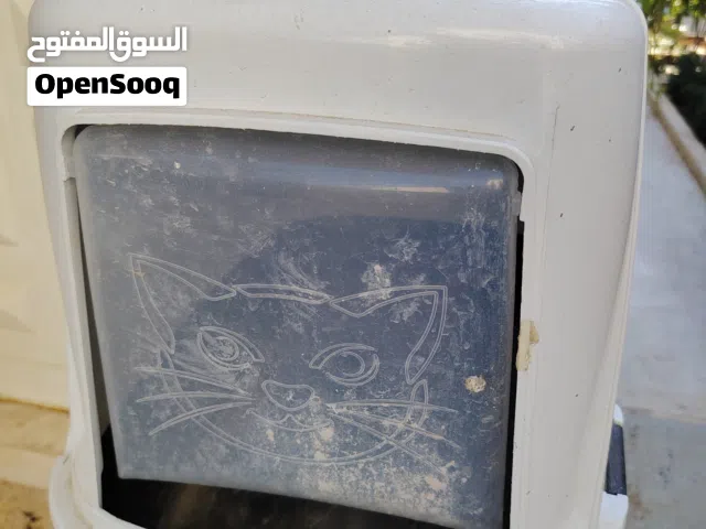 منزل قط شبه جديد