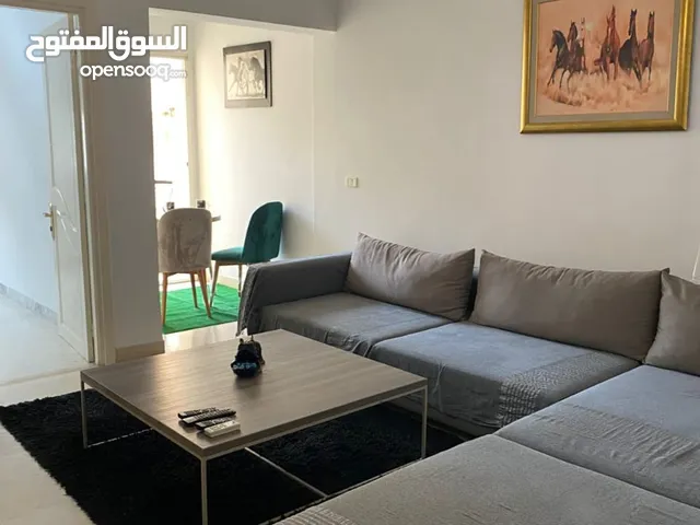 أستوديو مؤثث للايجار اليومي بالمنزه السابع مكرر بجوار حي النصر 2