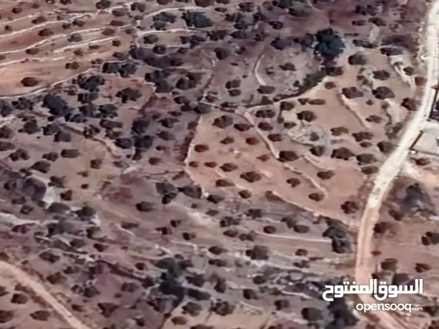 ارض زراعية سكنية