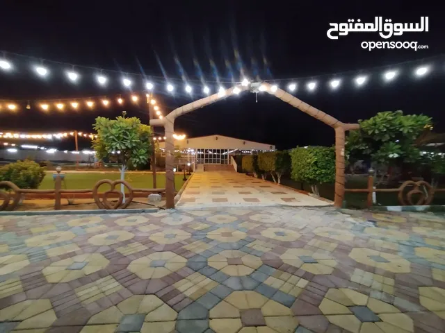 3 Bedrooms Farms for Sale in Sharjah Al Zubair