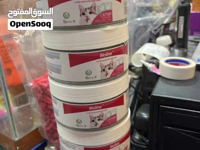 كات نيب لتهدئة القطط ويجعلها تحب المكان