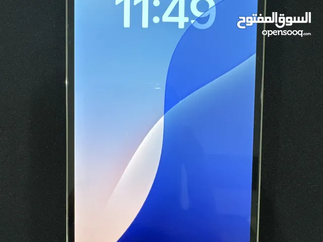 iPhone 13 Pro Max
