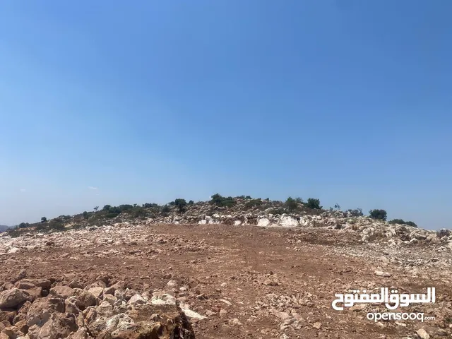 Mixed Use Land for Sale in Salfit Farkha