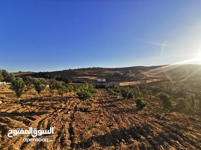 Farm Land for Sale in Jerash Dahl