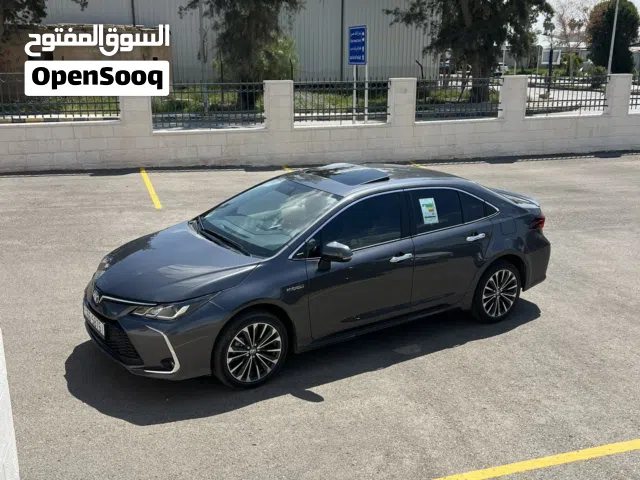 2024, Toyota, Corolla, Hybrid