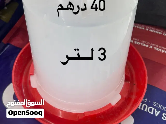 سقاية للطيور