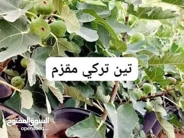 نتميز بأفضل الأسعار