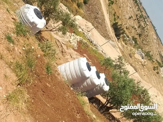 Farm Land for Sale in Irbid Taqbal