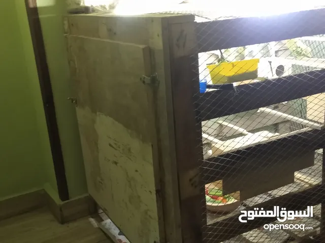 مطار عصافير كبير كامل بكل المشتملات للبيع بسعر مغري