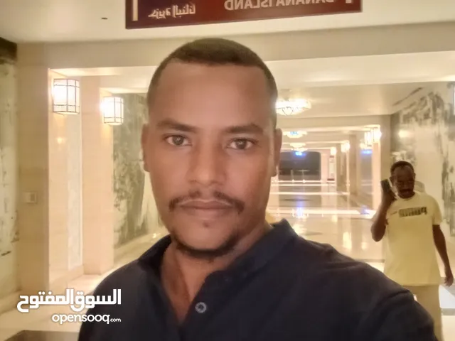 الرشيد محمد البدوي