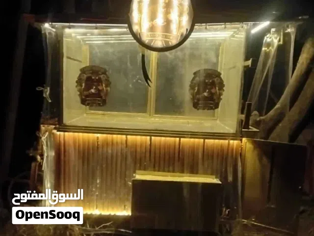 عربايه مميزة