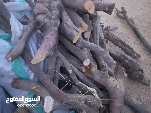 حطب زيتون 730 كيلو