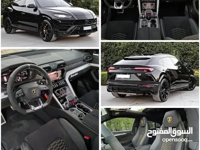 Lamborghini Urus in Baghdad