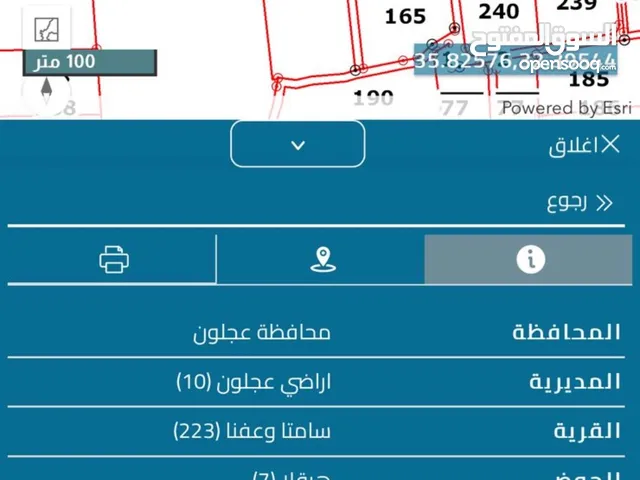 قطعة ارض زراعية مرتفعة خلف جامعة عجلون الوطنية ، بافضل اطلاله في عجلون - من المالك وبسعر مغري