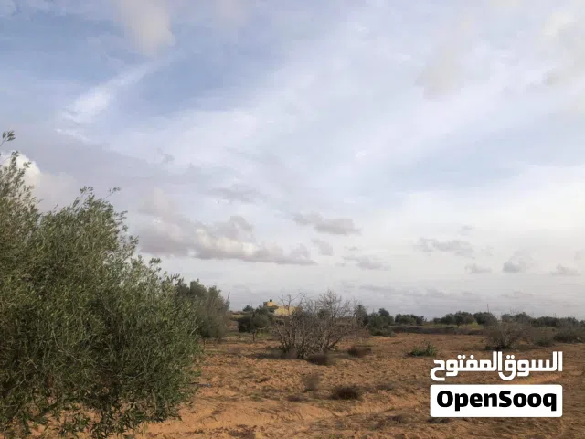 Mixed Use Land for Sale in Jumayl Other