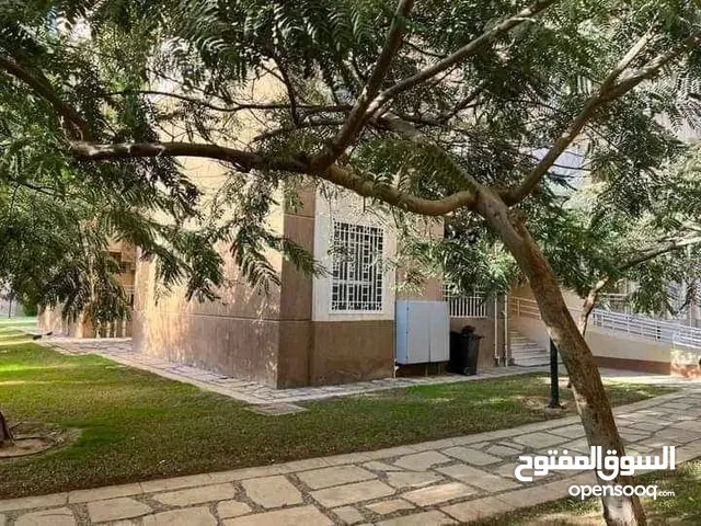 64m2 Studio Apartments for Sale in Cairo Madinaty