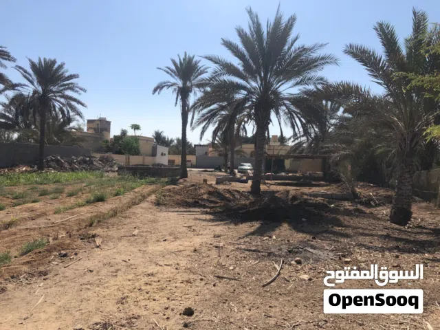مزرعة للبيع